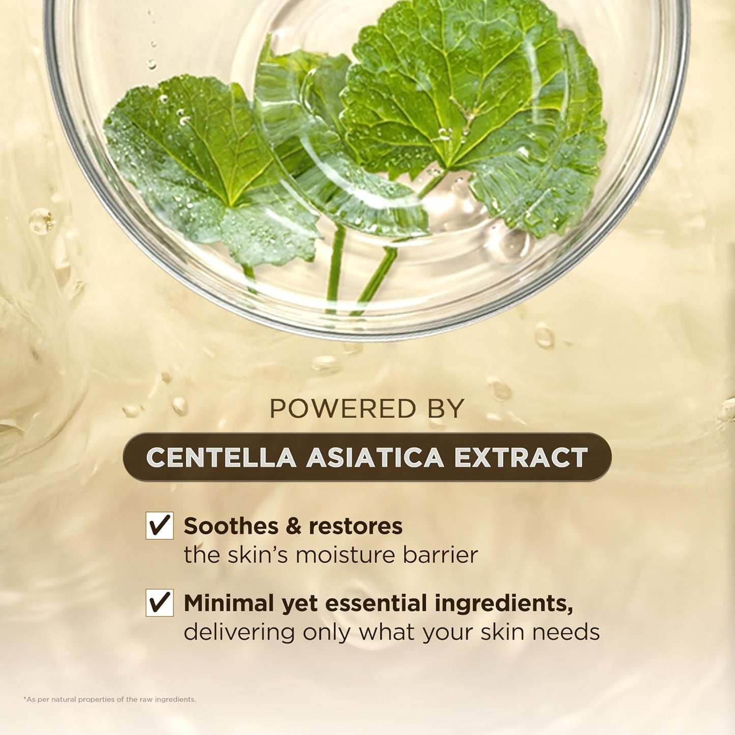 Close-up of fresh Centella Asiatica leaves in a glass dish, highlighting the key ingredient in SKIN1004 Madagascar Centella Ampoule. Emphasizes soothing and restoring the skin’s moisture barrier with a minimal yet essential ingredient formula designed to calm, hydrate, and support healthy skin.