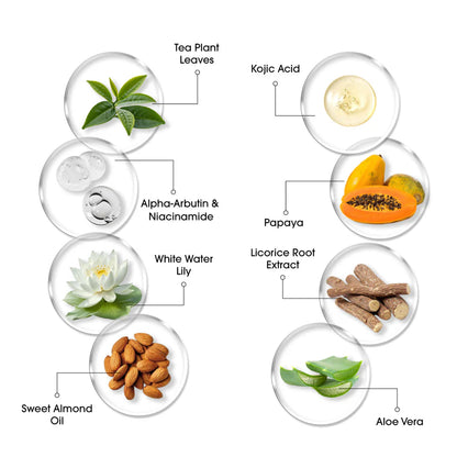 Ingredient infographic for Niconi Men Enzyme De-Tan Pack highlighting Tea Plant Leaves, Kojic Acid, Alpha-Arbutin, Niacinamide, Papaya, White Water Lily, Licorice Root Extract, Sweet Almond Oil, and Aloe Vera. The blend helps reduce tan, brighten skin, soothe irritation, nourish deeply, and promote a more even skin tone.