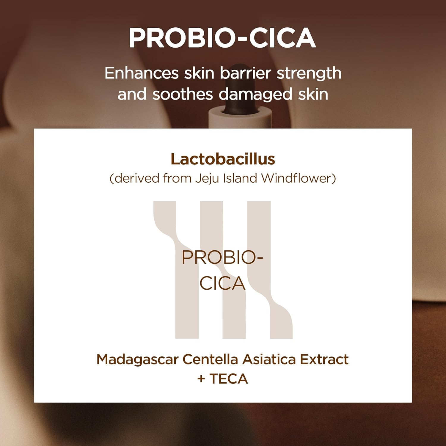 Ingredient infographic highlighting SKIN1004 Probio-Cica technology featuring Lactobacillus derived from Jeju Island windflower, Madagascar Centella Asiatica Extract, and TECA. Explains the skin barrier-strengthening and soothing benefits of fermented Centella for damaged, sensitive skin in Korean skincare formulations.