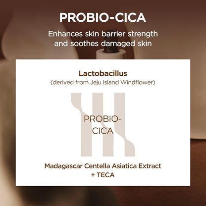 Ingredient infographic highlighting SKIN1004 Probio-Cica technology featuring Lactobacillus derived from Jeju Island windflower, Madagascar Centella Asiatica Extract, and TECA. Explains the skin barrier-strengthening and soothing benefits of fermented Centella for damaged, sensitive skin in Korean skincare formulations.